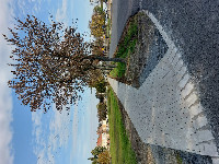 Cím nélküli előnézeti kép. Ennek a képnek nincs leírása.