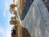 Cím nélküli előnézeti kép. Ennek a képnek nincs leírása.