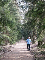 Ennek a képnek nincs leírása.