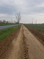 Ennek a képnek nincs leírása.