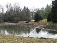 Ennek a képnek nincs leírása.