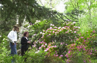 Ennek a képnek nincs leírása.