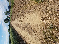 Cím nélküli előnézeti kép. Ennek a képnek nincs leírása.
