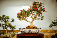 Ennek a képnek nincs leírása.