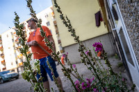 Ennek a képnek nincs leírása.