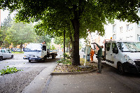 Ennek a képnek nincs leírása.