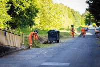 Ennek a képnek nincs leírása.