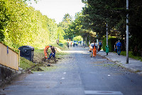 Ennek a képnek nincs leírása.