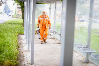 Ennek a képnek nincs leírása.