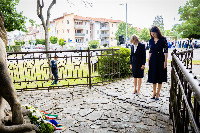 Ennek a képnek nincs leírása.