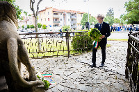 Ennek a képnek nincs leírása.