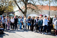 Ennek a képnek nincs leírása.
