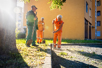 Ennek a képnek nincs leírása.