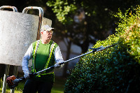 Ennek a képnek nincs leírása.