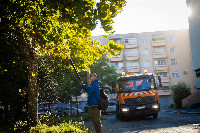 Ennek a képnek nincs leírása.