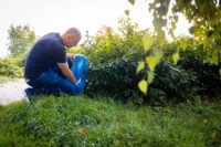 Cím nélküli előnézeti kép. Ennek a képnek nincs leírása.