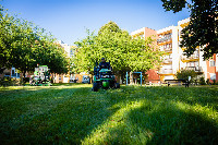 Ennek a képnek nincs leírása.