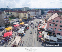 Ennek a képnek nincs leírása.