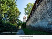 Ennek a képnek nincs leírása.