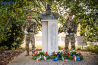 Ennek a képnek nincs leírása.