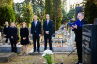 Ennek a képnek nincs leírása.