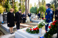 Ennek a képnek nincs leírása.