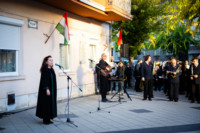 Ennek a képnek nincs leírása.