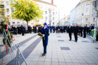 Ennek a képnek nincs leírása.