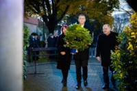 Cím nélküli előnézeti kép. Ennek a képnek nincs leírása.