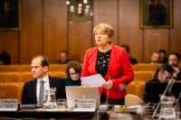 Ennek a képnek nincs leírása.