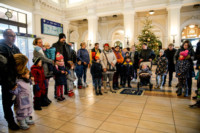 Ennek a képnek nincs leírása.