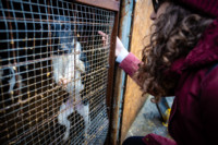 Ennek a képnek nincs leírása.