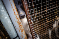 Ennek a képnek nincs leírása.