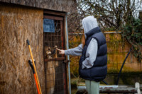 Ennek a képnek nincs leírása.