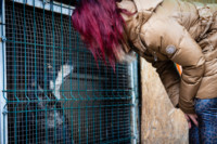 Ennek a képnek nincs leírása.