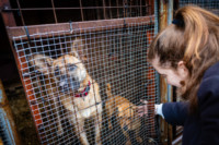 Ennek a képnek nincs leírása.