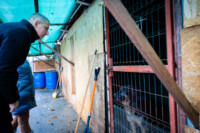 Ennek a képnek nincs leírása.