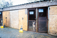 Ennek a képnek nincs leírása.