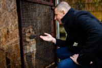 Ennek a képnek nincs leírása.