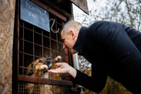 Ennek a képnek nincs leírása.