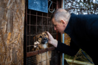 Ennek a képnek nincs leírása.