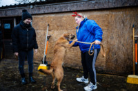 Ennek a képnek nincs leírása.