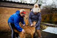 Ennek a képnek nincs leírása.