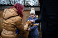 Ennek a képnek nincs leírása.