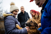 Ennek a képnek nincs leírása.