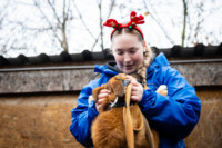 Ennek a képnek nincs leírása.