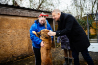 Ennek a képnek nincs leírása.