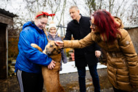 Ennek a képnek nincs leírása.
