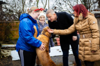 Ennek a képnek nincs leírása.