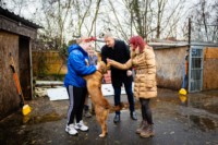 Ennek a képnek nincs leírása.